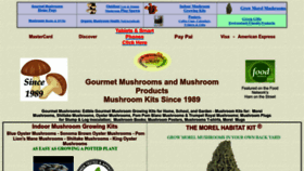 What Gmushrooms.com website looked like in 2023 (This year)