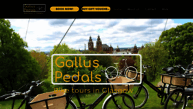 What Galluspedals.com website looked like in 2023 (This year)