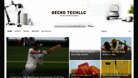 What Geckotechllc.com website looked like in 2023 (This year)