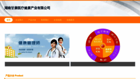 What Gokang-group.com website looked like in 2023 (This year)