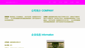 What Gaonengxiaodui.com website looked like in 2023 (This year)