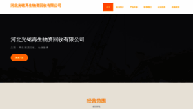 What Guangmingwzhs.com website looked like in 2023 (This year)