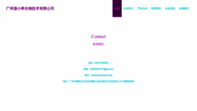 What Gzchexiaoxi.com website looked like in 2023 (This year)