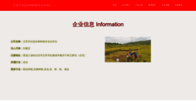 What Guanguanmi.com website looked like in 2023 (This year)