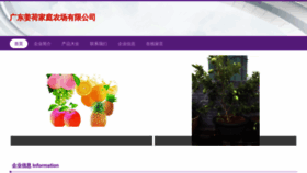 What Gdjianghe.com website looked like in 2023 (This year)