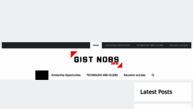 What Gistnobs.com.ng website looked like in 2023 (This year)