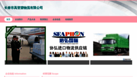 What Goldenwang.cn website looked like in 2023 (This year)