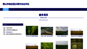 What Glsscw.cn website looked like in 2023 (This year)