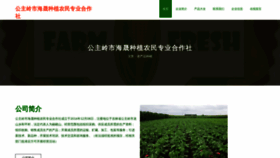 What Gnehisx.cn website looked like in 2023 (This year)