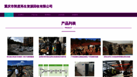 What Guodupin.cn website looked like in 2023 (This year)