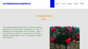 What Gnswtw.cn website looked like in 2023 (This year)