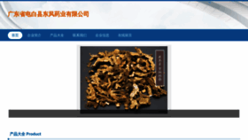 What Gdgre.cn website looked like in 2023 (This year)