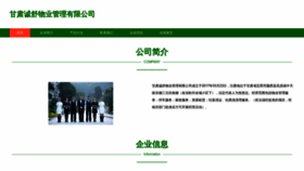 What Gh-cs.cn website looked like in 2023 (This year)