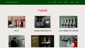 What Gsvlt.cn website looked like in 2023 (This year)