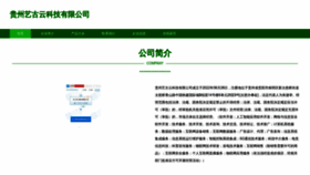 What Goyiyun.com website looks like in 2024 