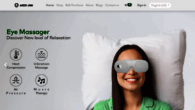 What Greenlion.net website looked like in 2024 (1 year ago)