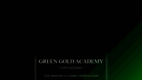 What Greengoldacademy.com website looks like in 2024 