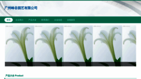 What Gzfengu.com website looks like in 2024 