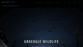 What Graeagle.com website looks like in 2024 