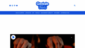 What Genialetricks.de website looks like in 2024 