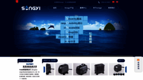 What Gdsongyi.com website looks like in 2024 