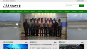 What Gdmyxh.cn website looks like in 2024 