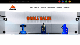What Goolevalve.com website looks like in 2024 