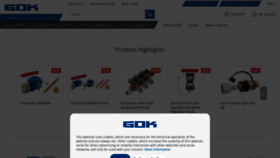 What Gok.de website looks like in 2024 