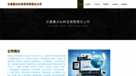 What Gsebj.cn website looks like in 2024 