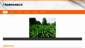 What Gxqvz.cn website looks like in 2024 