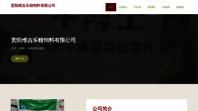 What Gywjy.cn website looks like in 2024 