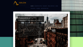 What Gruzikpoznan.pl website looks like in 2024 