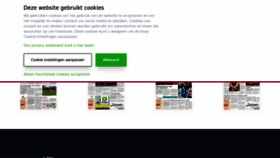 What Gemeentenieuwsonline.nl website looks like in 2024 