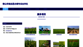 What Glsscw.cn website looks like in 2024 