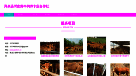 What Good1cm.cn website looks like in 2024 
