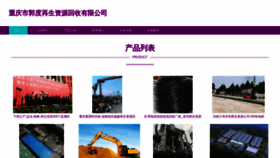 What Guodupin.cn website looks like in 2024 