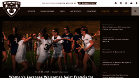 What Gobonnies.com website looks like in 2024 