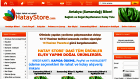 What Hataystore.com website looked like in 2012 (11 years ago)