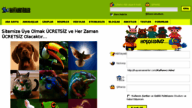 What Hayvanseverler.com website looked like in 2015 (9 years ago)