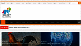 What Herseyhakkinda.net website looked like in 2015 (8 years ago)