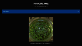 What Howlife.org website looked like in 2015 (8 years ago)