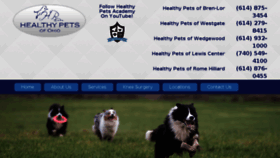What Healthypetsofohio.com website looked like in 2016 (8 years ago)