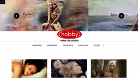 What Hobbyhomecollection.com website looked like in 2016 (8 years ago)