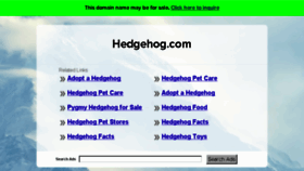 What Hedgehog.com website looked like in 2016 (7 years ago)