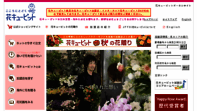 What Hanacupid.or.jp website looked like in 2016 (7 years ago)