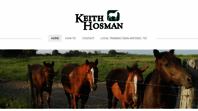 What Horsemanship101.com website looked like in 2016 (7 years ago)