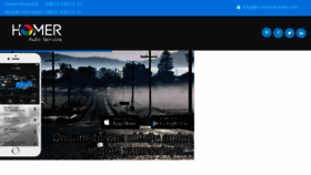 What Homerservisler.com website looked like in 2016 (8 years ago)