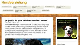 What Hundeerziehung-jetzt.de website looked like in 2017 (7 years ago)