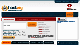 What Hostoky.net website looked like in 2017 (7 years ago)