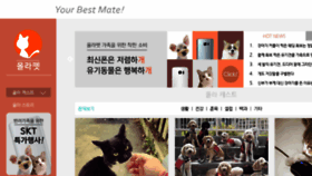 What Holapet.co.kr website looked like in 2017 (8 years ago)
